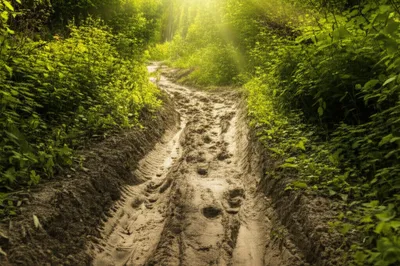 Illustration bate - Image 1