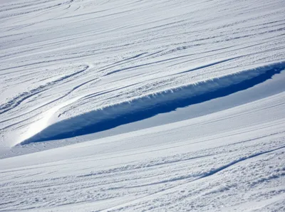 Illustration knuckles - Image 1