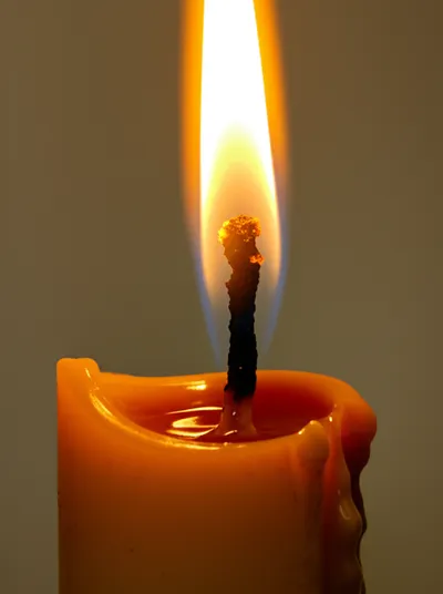 Illustration waster - Image 1