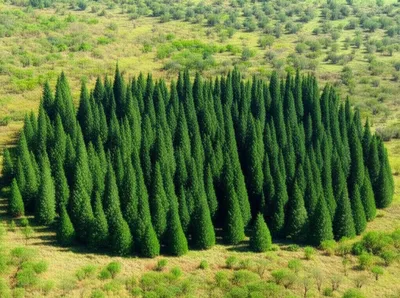 Illustration stand - Image 1