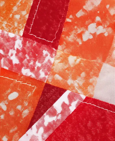 Illustration calico - Image 1