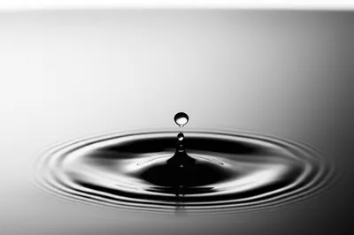 Hình ảnh minh họa bubble - Ảnh 1