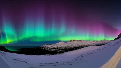 Illustration stunning - Image 1