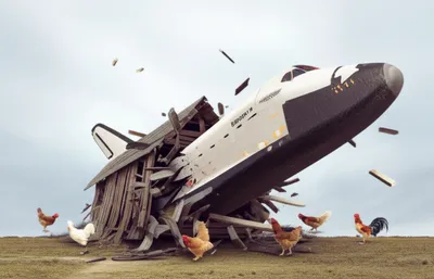 Illustration flies - Image 1