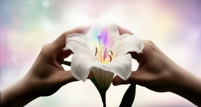 Illustration makes - Image 1