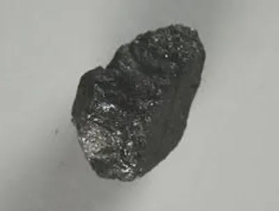 Illustration cob - Image 3