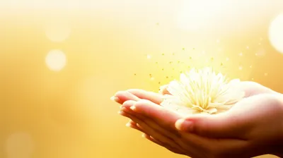 Hình ảnh minh họa beauty - Ảnh 1