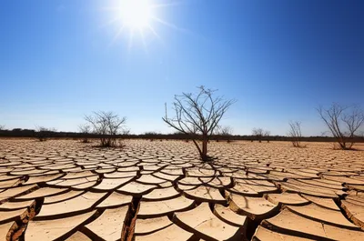 Illustration dry - Image 1