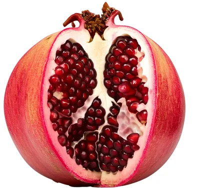 Illustration seamed - Image 1