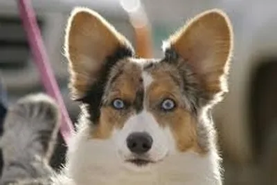 Illustration prick - Image 2