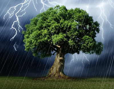 Illustration insusceptible