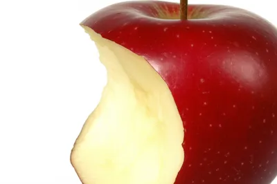 Illustration bites - Image 1