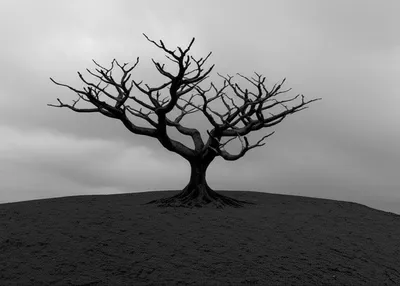 Illustration austere