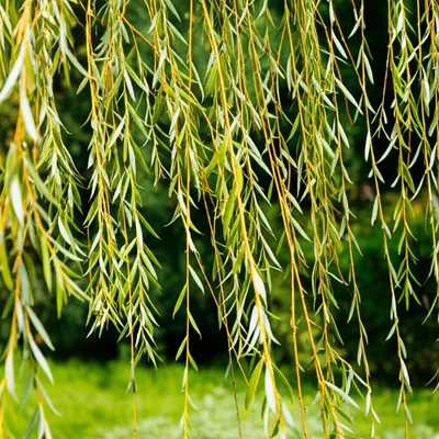 Illustration floppy - Image 1