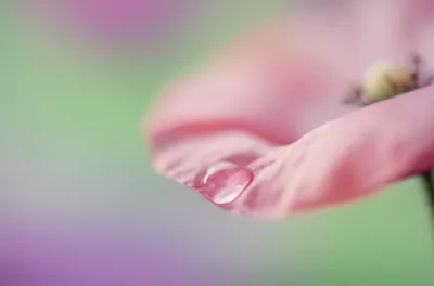 Illustration sensitivity