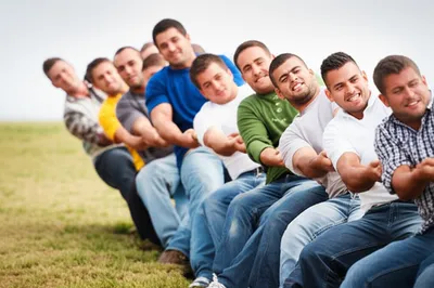 Illustration pulls - Image 1