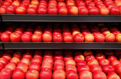 Illustration multiples - Image 1