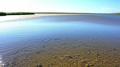 Illustration remitting - Image 1