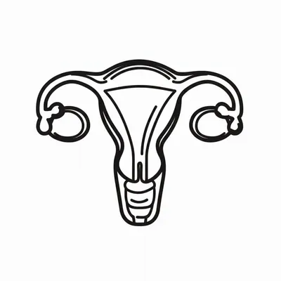 Illustration dicking - Image 1