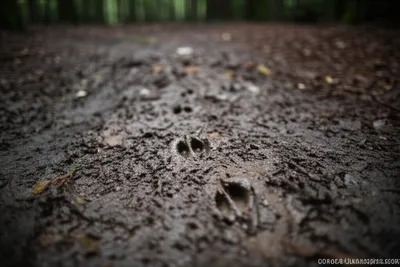 Illustration slot - Image 1