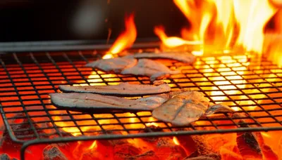 Illustration gridiron - Image 1