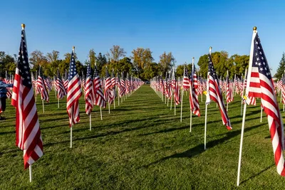 Illustration honors - Image 2