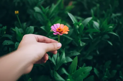 Illustration abstracted - Image 1