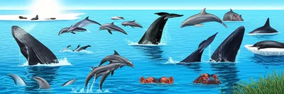 Illustration pod - Image 1