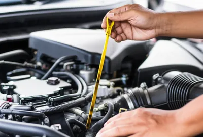 Illustration dipping - Image 1