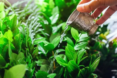 Illustration sprinkle - Image 1