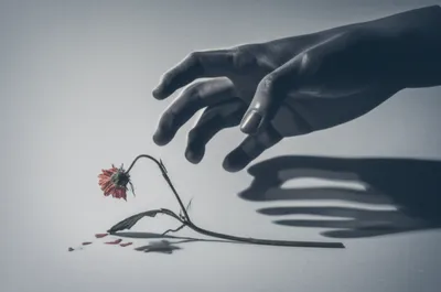 Illustration abuse - Image 1