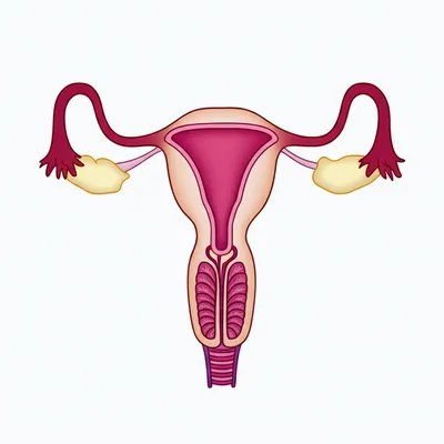 Illustration cat - Image 1