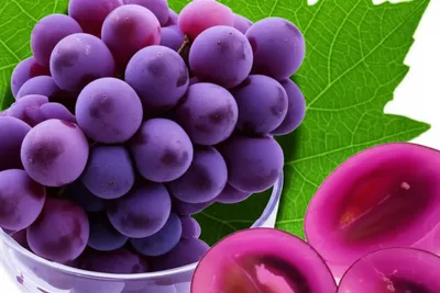 Illustration grape - Image 1