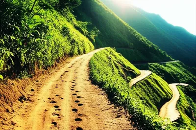 Illustration progressions - Image 1