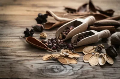 Illustration senna - Image 1