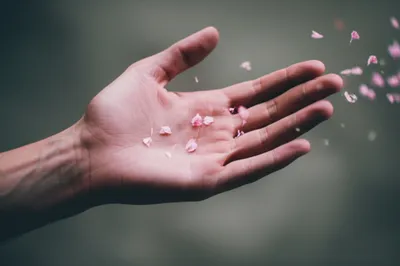 Illustration lost - Image 1