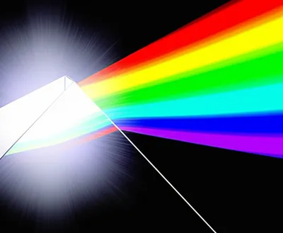 Illustration inverted - Image 1