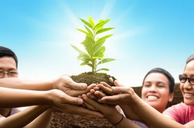 Illustration franchise - Image 1