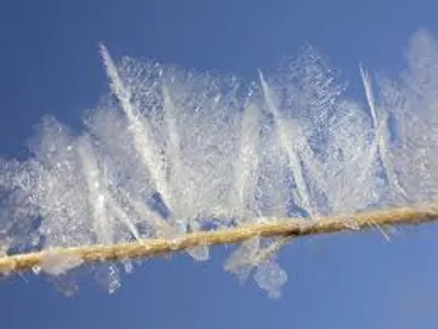 Illustration frosted - Image 2