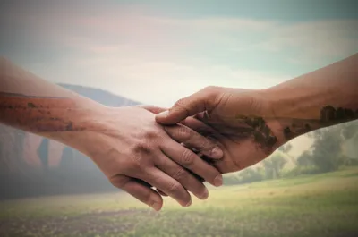 Illustration yellower - Image 1