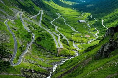 Illustration esses - Image 1