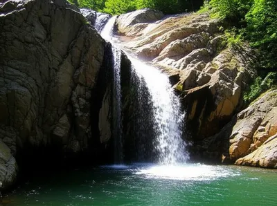 Illustration forcing - Image 1