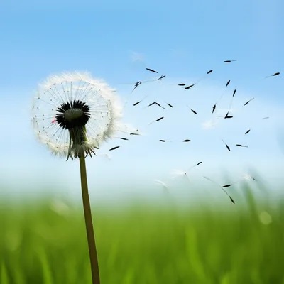 Illustration drifting - Image 1