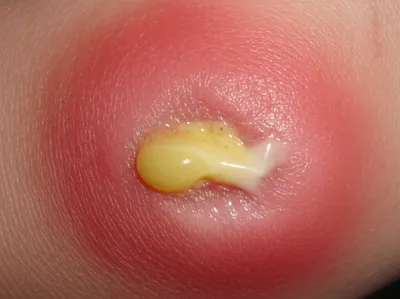 Illustration digest - Image 1