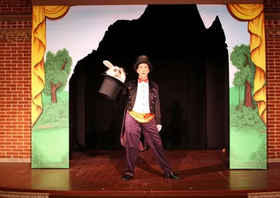 Illustration sham - Image 1