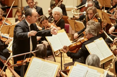 Illustration behaves - Image 1