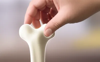 Illustration sets - Image 1