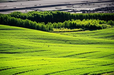 Illustration reclaim - Image 1