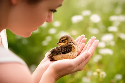 Illustration mothering - Image 1