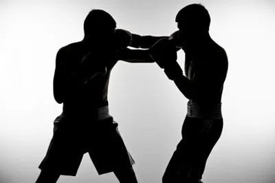 Illustration cuff - Image 1